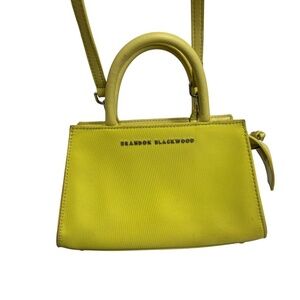 Brandon Blackwood lime Arlen bag crossbody